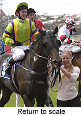 Return to scale (14906 bytes)