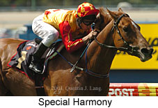 Special Harmony (15756 bytes)