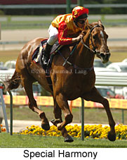 Special Harmony (18690 bytes)