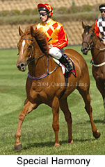 Special Harmony (16361 bytes)