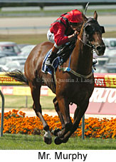 Mr. Murphy (18354 bytes)