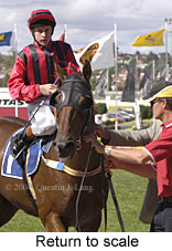 Return to scale (16468 bytes)