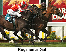 Regimental Gal (21486 bytes)