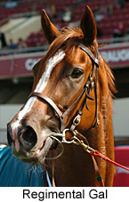 Regimental Gal (14871 bytes)
