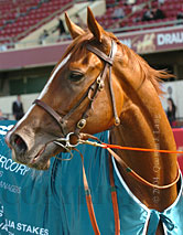 Regimental Gal (14871 bytes)