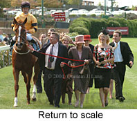 Return to scale (16468 bytes)