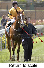 Return to scale (16468 bytes)