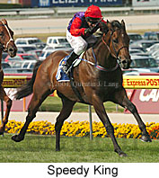 Speedy King (20434 bytes)