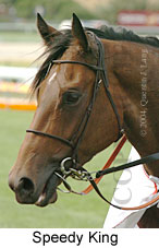 Speedy King (12104 bytes)