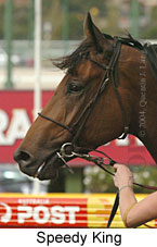 Speedy King (12388 bytes)