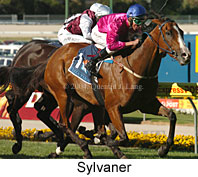 Sylvaner (18324 bytes)