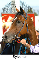 Sylvaner (14498 bytes)