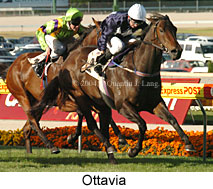 Ottavia (22469 bytes)