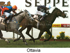 Ottavia (15374 bytes)