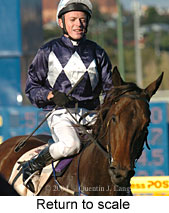 Return to scale (15473 bytes)