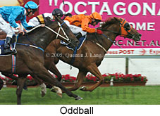 Oddball (18294 bytes)