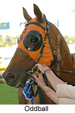 Oddball (18294 bytes)