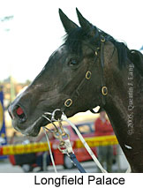 Longfield Palace (18294 bytes)