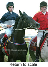 Return to scale (14102 bytes)