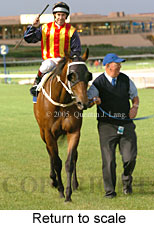 Return to scale (14102 bytes)