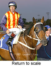 Return to scale (14102 bytes)