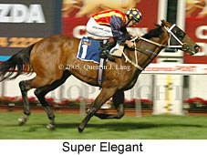 Super Elegant (18294 bytes)