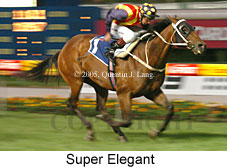 Super Elegant (18294 bytes)