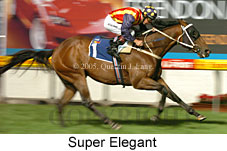 Super Elegant (18294 bytes)