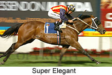 Super Elegant (18294 bytes)