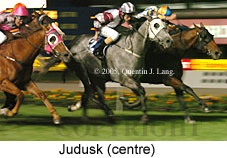 Judusk (18294 bytes)