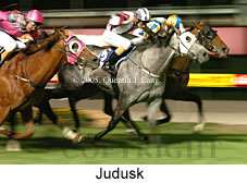 Judusk (18294 bytes)