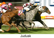 Judusk (18294 bytes)