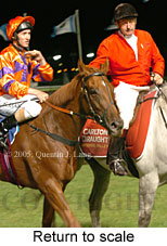 Return to scale (14102 bytes)