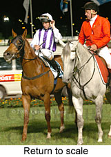 Return to scale (14102 bytes)