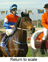 Return to scale (14102 bytes)
