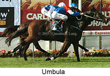 Umbula (18294 bytes)