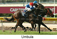 Umbula (18294 bytes)