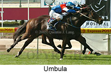 Umbula (18294 bytes)