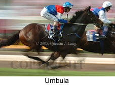 Umbula (18294 bytes)