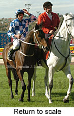Return to scale (14102 bytes)
