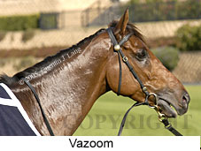 Vazoom (18294 bytes)