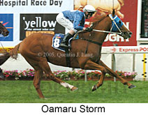 Oamaru Storm (18294 bytes)