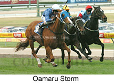 Oamaru Storm (18294 bytes)