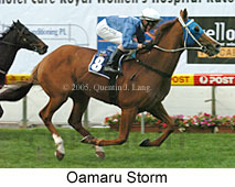 Oamaru Storm (18294 bytes)