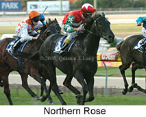 Northern Rose (18294 bytes)