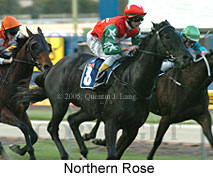 Northern Rose (18294 bytes)
