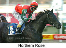 Northern Rose (18294 bytes)