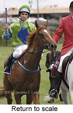 Return to scale (14073 bytes)