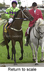 Return to scale (14905 bytes)