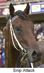 Snip Attack (12239 bytes)